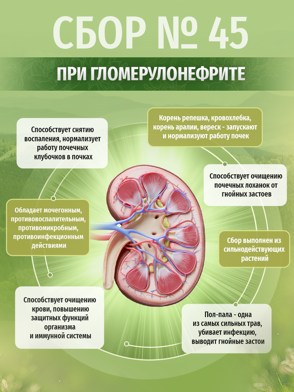 Сбор № 45 При гломерулонефрите