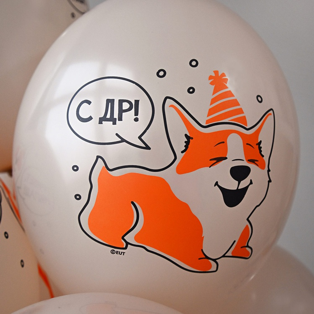 Латексный шар «С ДР! Корги», 36 см