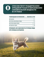 Vita+ мультивитаминное лакомство для собак Здоровые суставы, 90 таблеток