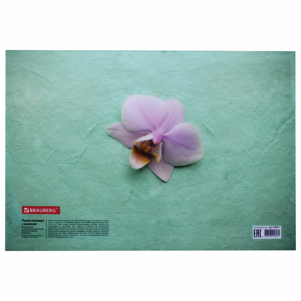 Папка-конверт с кнопкой BRAUBERG "FLOWER" А4 160 мкм до 100 листов цветная печать (12 штук в упаковке)