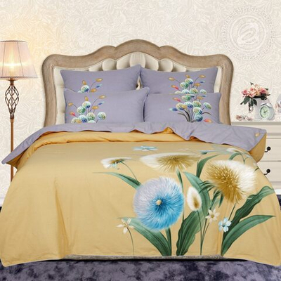 Постельное белье велюр Евроразмер Лусия 797 Арт Элегант