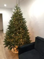 Искусственная ель «Берген» (Литая хвоя) 210 см / 2.1 м