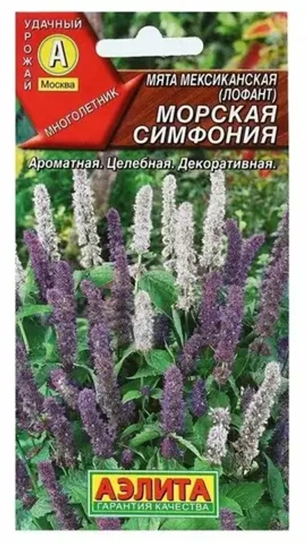 Мята семена