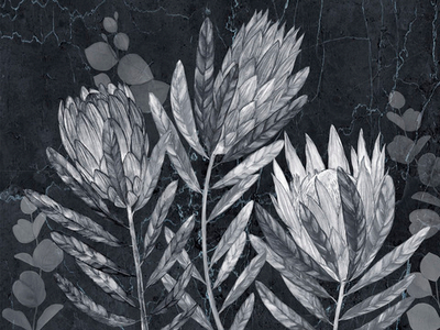 Дизайнерские обои Wall Street Herbarium