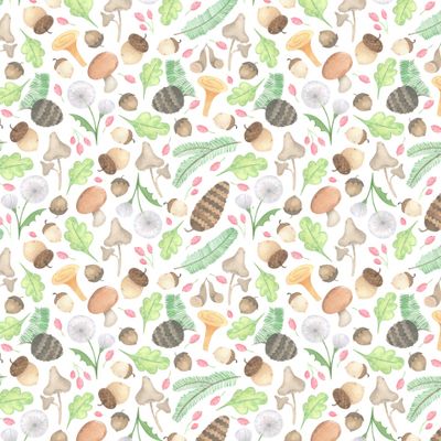 Лесные дары. Лес, лесная полянка, листья шишки и грибы