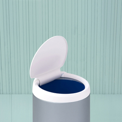 Ведро Brabantia FlipBin 30л мятный металлик сверху