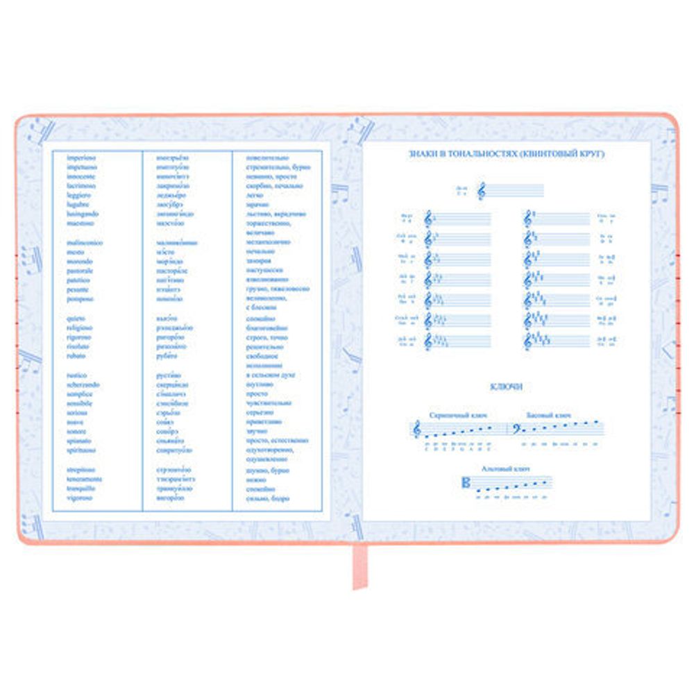Дневник для музыкальной школы 170х215 мм, 48 л., обложка кожзам твердая, фольга, BRAUBERG, справочный материал, НОТКИ, 107368