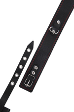 Черный двухслойный ошейник с красной строчкой и поводком (Цвет: черный)