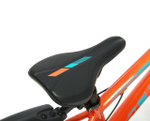 Детский велосипед Schwinn Mesa 20 (2020)