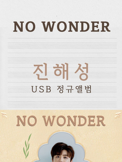 Альбом JIN HAE SEONG - NO WONDER USB RANDOM Version