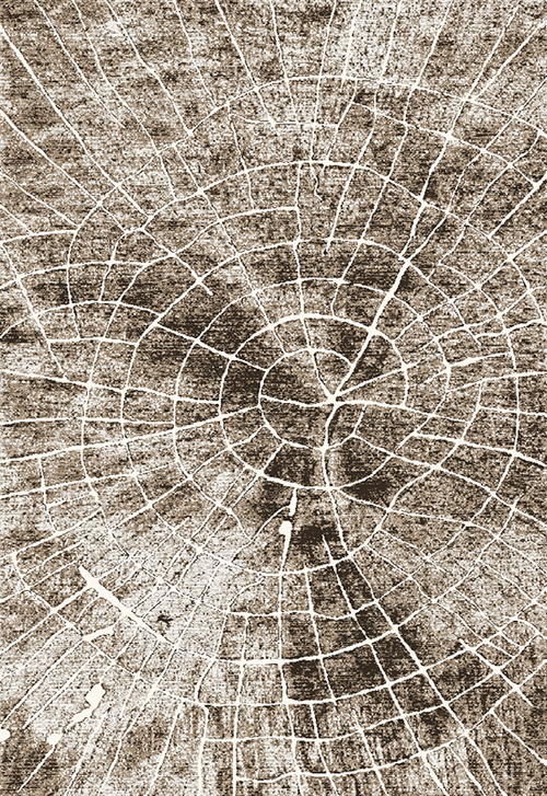 Бриз 31007 44945 Прямой