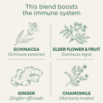 Traditional Medicinals, Organic Echinacea Plus, бузина, без кофеина, 16 чайных пакетиков в упаковке, 24 г (0,85 унции)