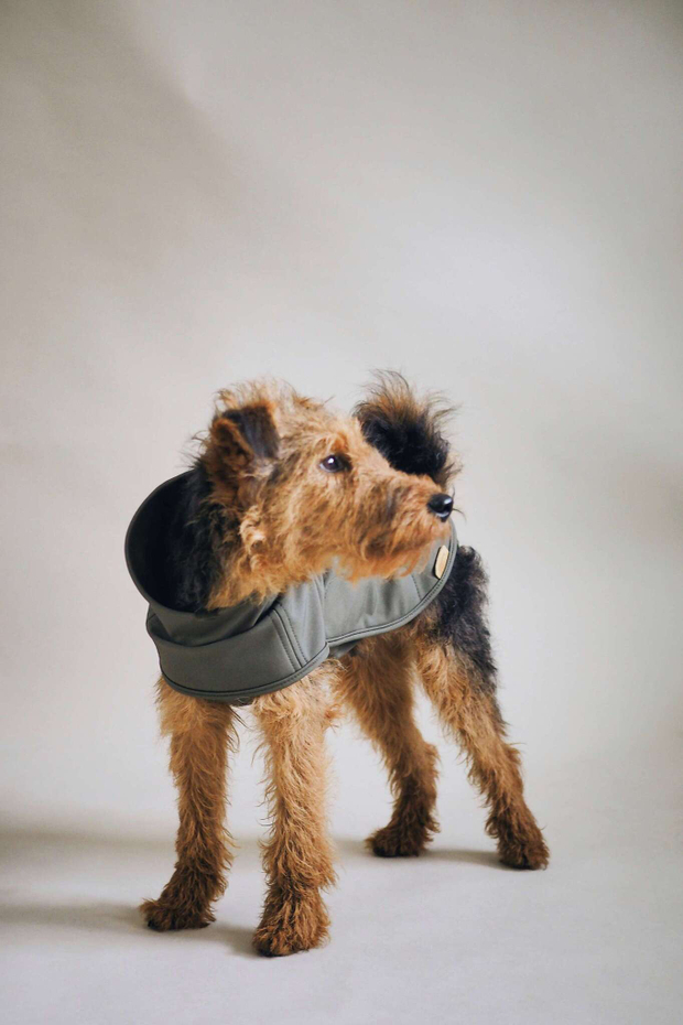 Попона "Пони-попони" хаки