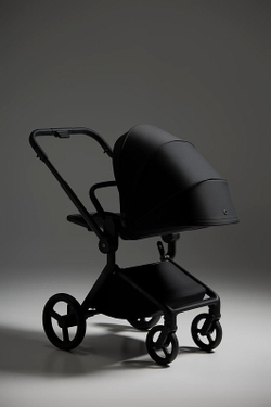 Детская коляска Anex Flo 2 в 1 Lungo