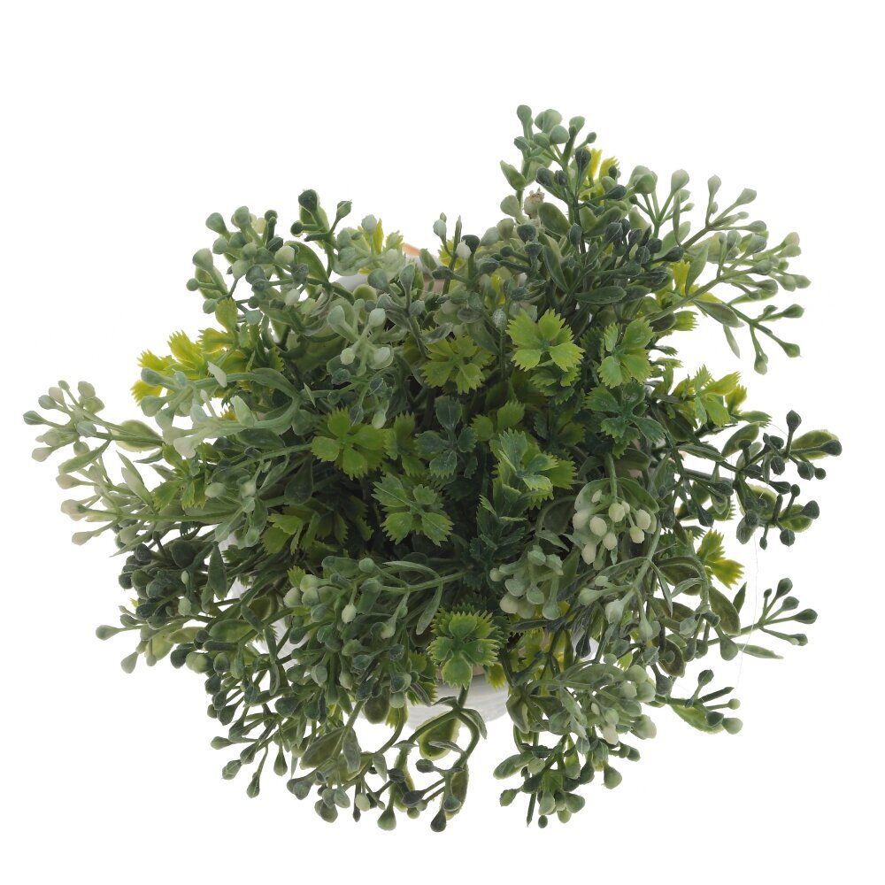 GAEM Цветочная композиция, L16 W16 H16 см, 5в.