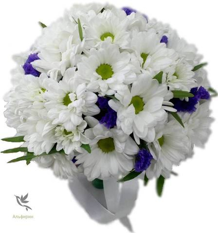 Мисс совершенство