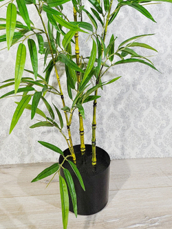 Бамбук декоративный 150см Панда в кашпо