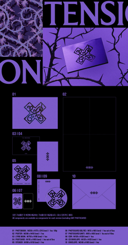 Альбом TXT - 7TH YEAR: A Moment of Stillness in the Thorns [Standard Ver.]