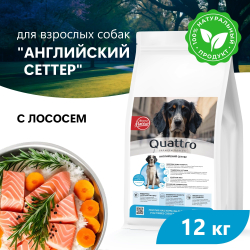 Корм сухой для взрослых собак породы Английский сеттер, премиум полнорационный комплекс, с лососем, 12 кг, QUATTRO