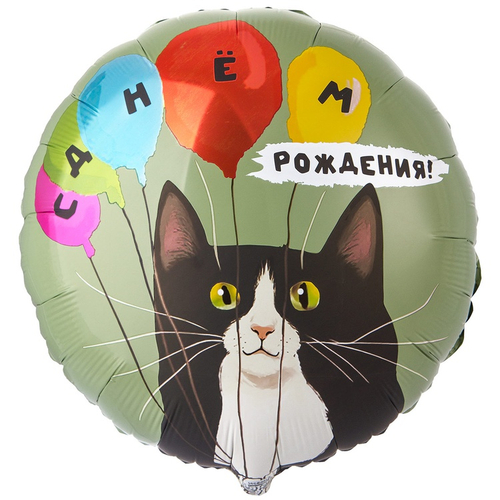 К 18" РУС ДР Кот и воздушные шары, 1 шт