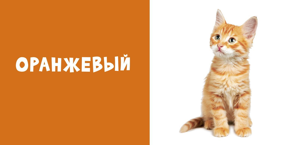 Мои первые слова. Фото-книга. Цвета МИНИ (нов.)