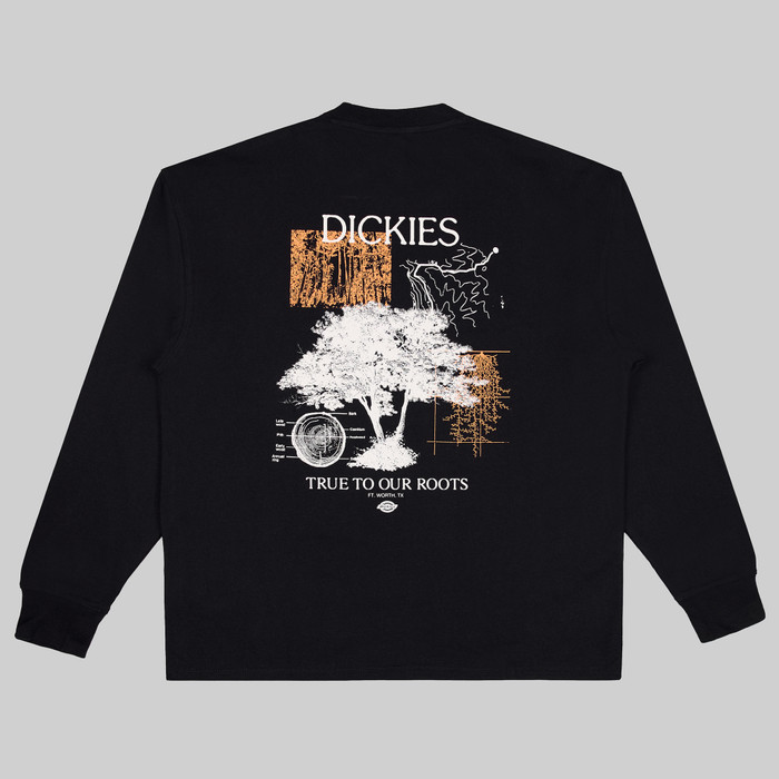 Лонгслив мужской Dickies Kenbridge Tee артикул:DK0A4YVRBLK1 - купить в магазине Дайс