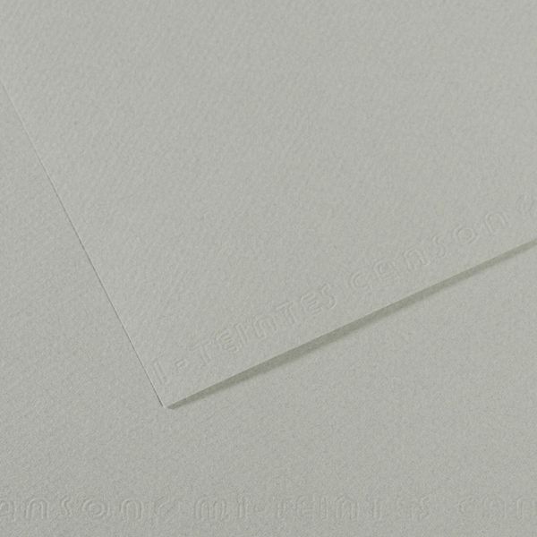 Бумага для пастели Mi-Teintes 160 г/м², 50х65 см, 10 л, №354 Серое небо, Canson, C31033S117