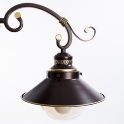 Потолочная люстра Arte Lamp