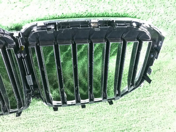 Решетка радиатора BMW X7 G07 (2019-2022)