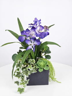 Композиция Сюрприз в кашпо