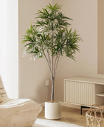 Дизиготека 165 см