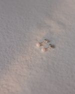 Пусеты с белым опалом