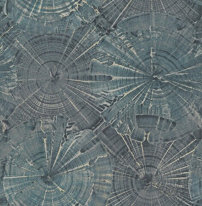 Обои Carl Robinson Edition 15 76002 CR