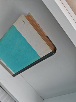 (Дефект) Чаадаев (ЖЗЛ)