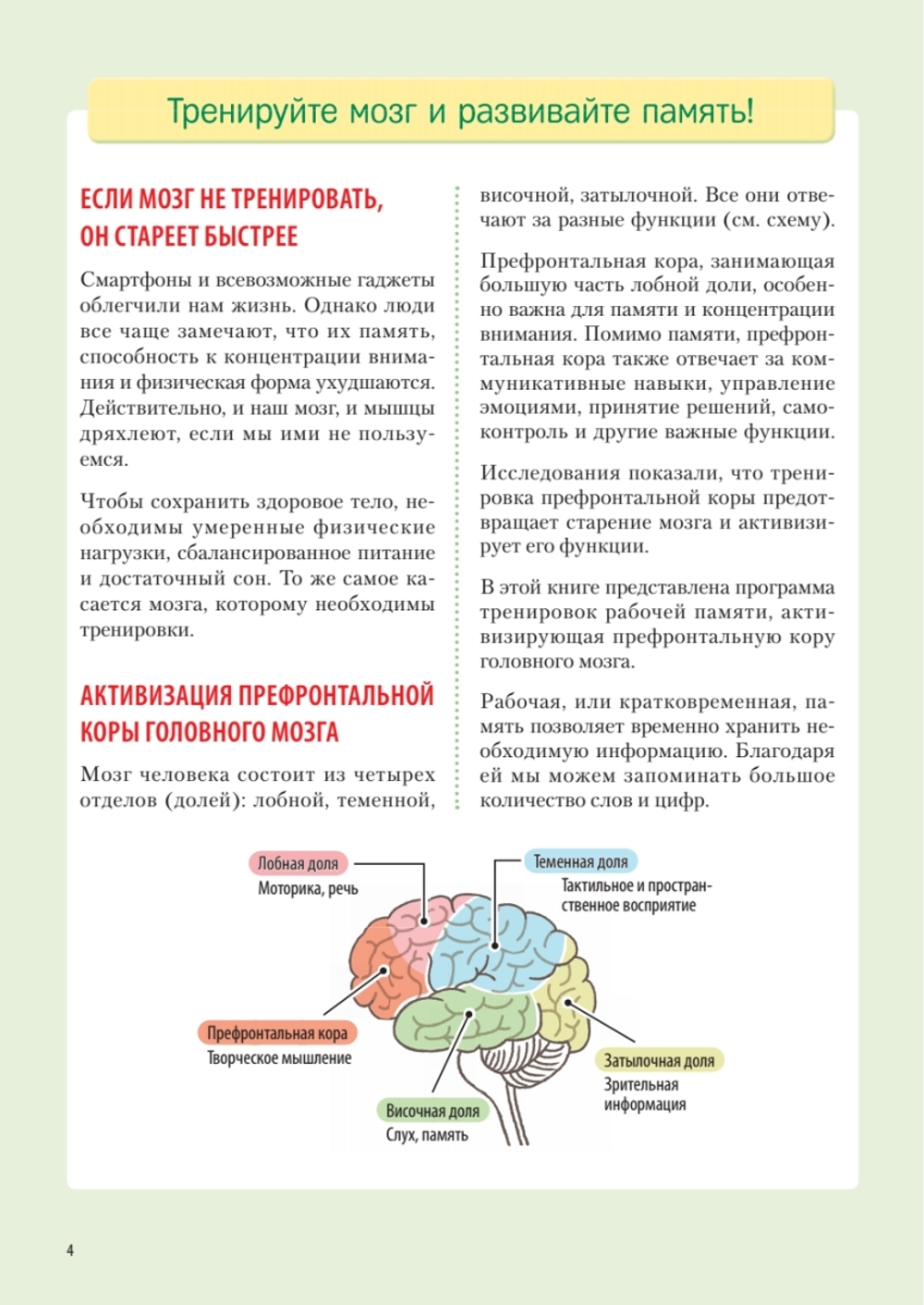 Заставь мозг работать. Эффективная тренировка памяти и мышления в любом возрасте