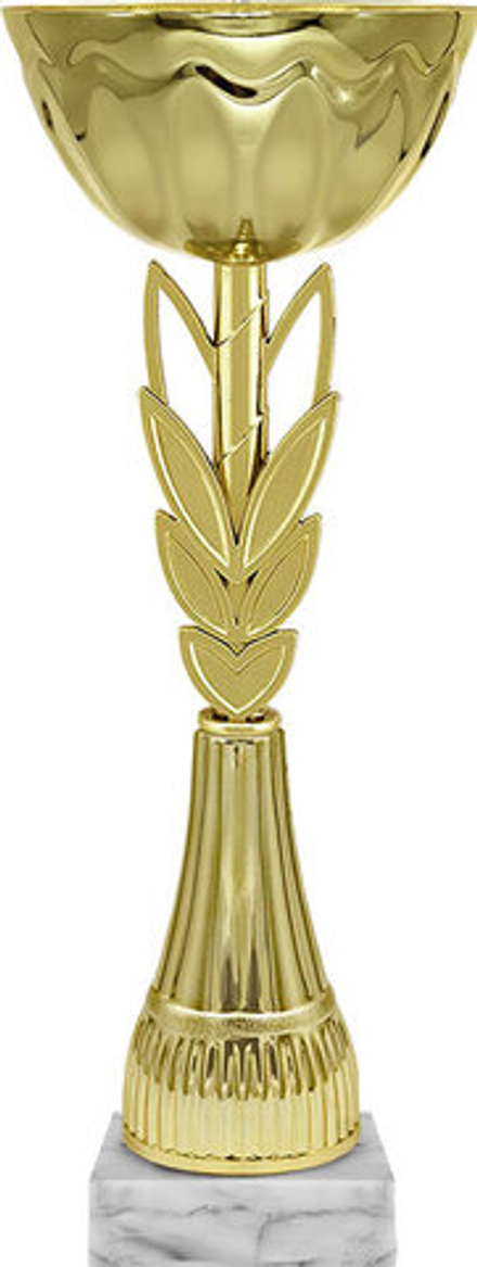 Кубок Ферзь