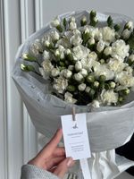 Моно букет из кустовых диантусов в белом оттенке 35 шт