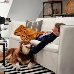 Диван 3-местный - IKEA BACKSÄLEN/BACKSALEN, 85х205 см, белый, ИКЕА