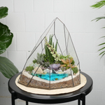 Готовый флорариум с суккулентами Эверест с озером