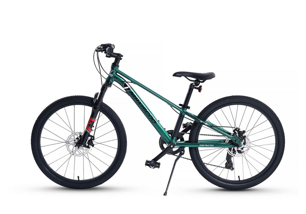 Maxiscoo "7BIKE" 24'' M300 (2024)