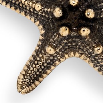 Мебельная ручка PullCast LINCKIA OC2011