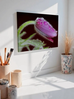 Картина на стену 40 X 50 Растение прострел