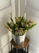 Гиацинт в розовом оттенке