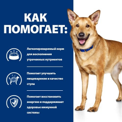 Hill's Canine i/d 354 г (курица с овощами, рагу) - диета консервы для собак с проблемами ЖКТ