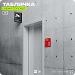 Табличка Пожарная лестница, на дверь и стену, навигационная и информационная, серия CONCEPT, 18х18 см, Айдентика Технолоджи