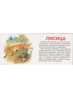 Мир Животных (20 карточек)