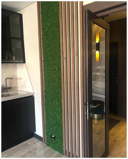 Панно из мха Ягель