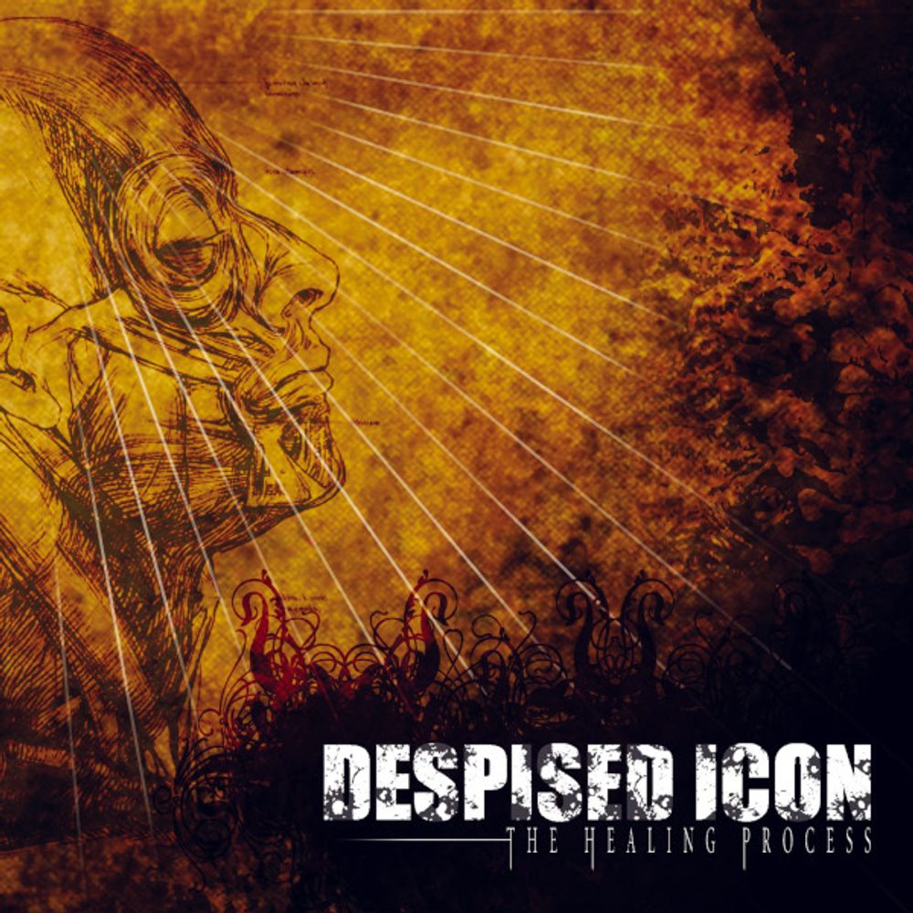 Despised Icon / The Healing Process (CD)