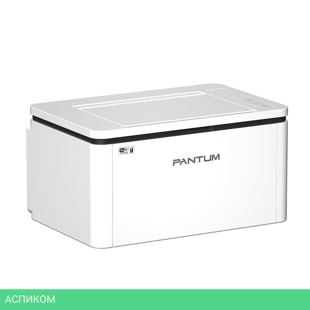 Принтер Pantum BP2300W