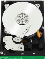 Жесткий диск WD 1TB WD1003FZEX